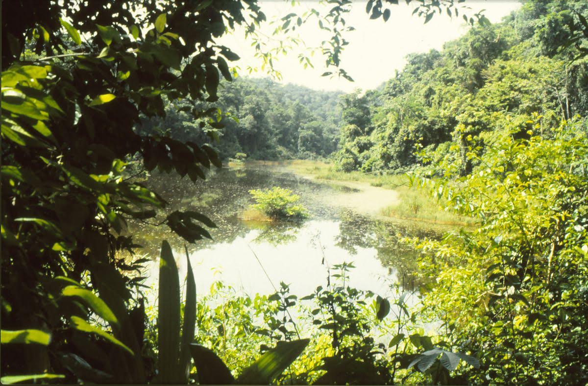 Laguna de Guacamaya.jpg